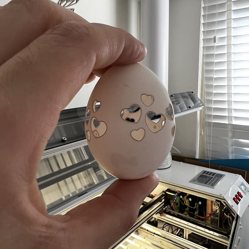 Lasergeschnittene Eierschalen